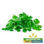 Cilantro-1-28129