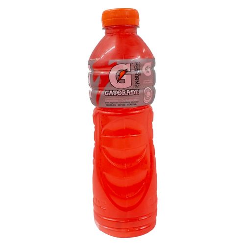 Gatorade Fruit Punch 500ml