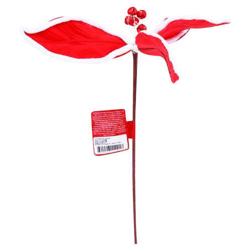 Pick Poinsettia 27cm Cdn