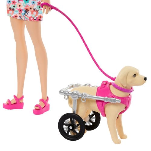 Muñeca Barbie Paseo de Mascotas con Silla De Ruedas