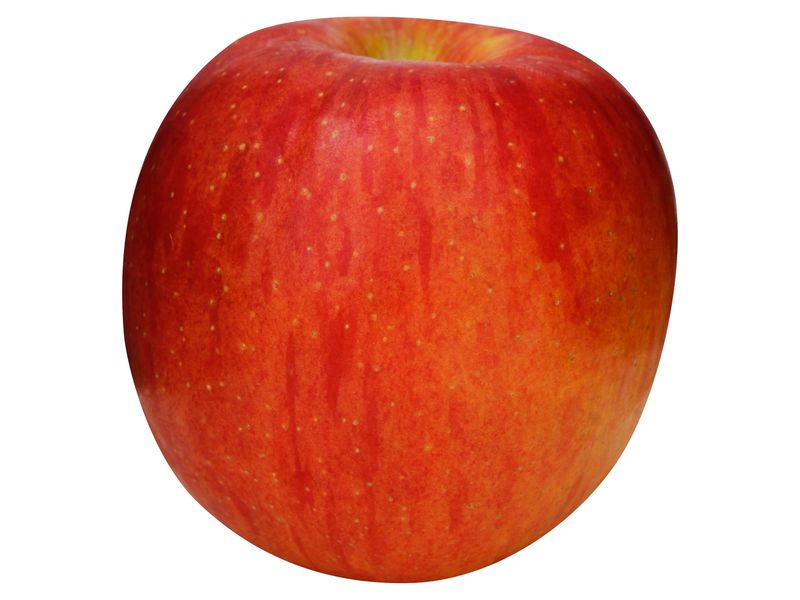4131-01.jpg