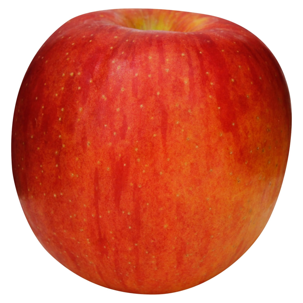 4131-01.jpg