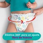 79566_02.jpg