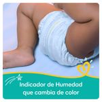 863_05.jpg