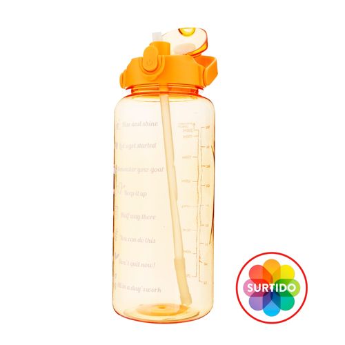 Botella 2 Lt