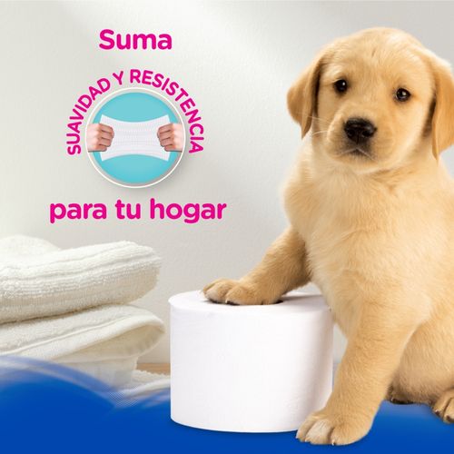 Papel Higiénico Scott 2 en 1 Doble Hoja - 4 Rollos