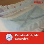 21889_05.jpg