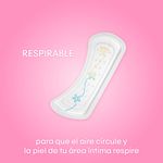 19003_05.jpg