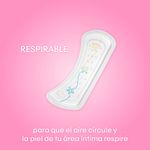 31561_05.jpg