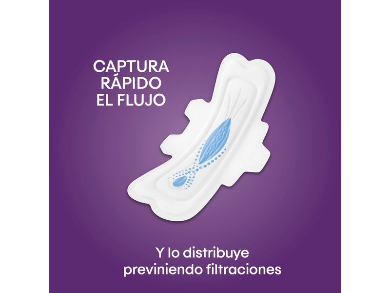 7762_04.jpg
