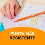 13901_02.jpg