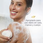 12870_07.jpg