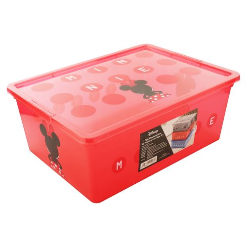 Caja Organizadora De Plastico Con Tapa