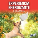 M-3_walmarthn_SwFnEzsjtG_M-5_walmartsv_fSLBOtnklc_97676_04.jpg