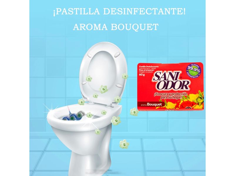 8488_04.jpg
