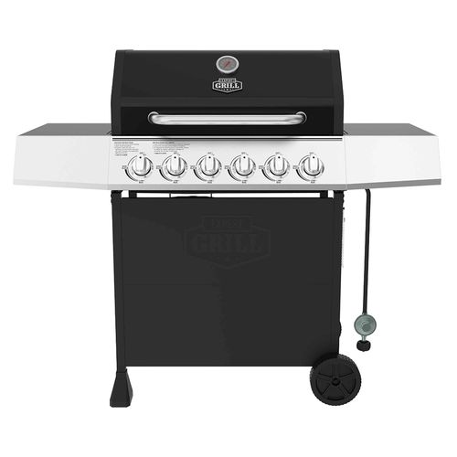Parrilla Expert Grill a gas Delux 6 quemadores de acero inoxidable