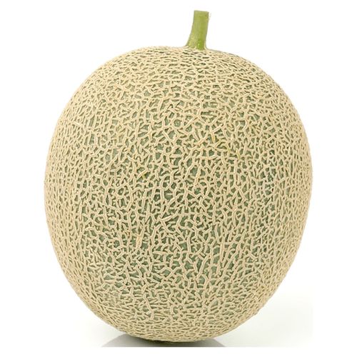 Melón Hortifruti nacional - Precio indicado por libra