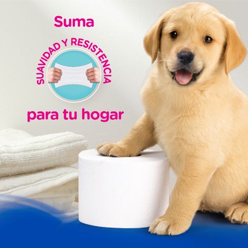 Papel Higienico Scott 2 En 1 40 Rollos Gumbo