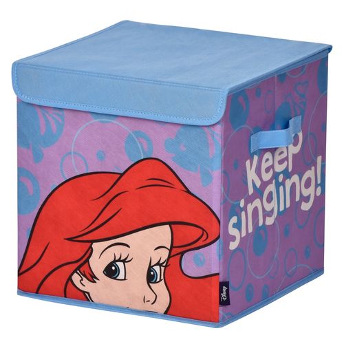 Caja De Almacenamiento Con Tapa Ariel