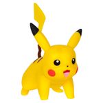 42860