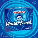 Wrigley-Winterfresh-15-Stick-6-1251.jpg