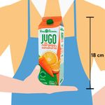Jugo-Dos-Pinos-Naranja-Con-Zanahoria-1000ml-5-25584_638416211218020311.jpg