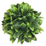 GTIN-6974221246445-02