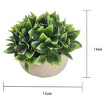 GTIN-6974221246445-03