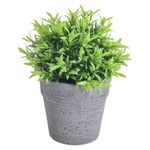 GTIN-6974221246452-04