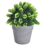 GTIN-6974221246452-05