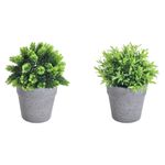 GTIN-6974221246452-08