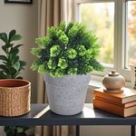 GTIN-6974221246452-09