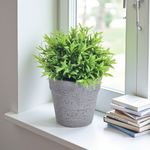 GTIN-6974221246452-10