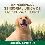 2025-09-30T20:11:37.957Z