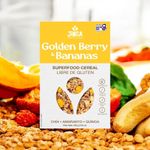 2025-03-12T21:09:57.246Z