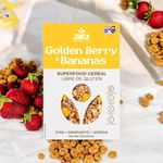 2025-03-12T21:09:57.888Z