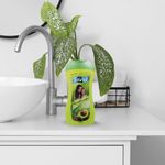 GTIN-7702006203067-05