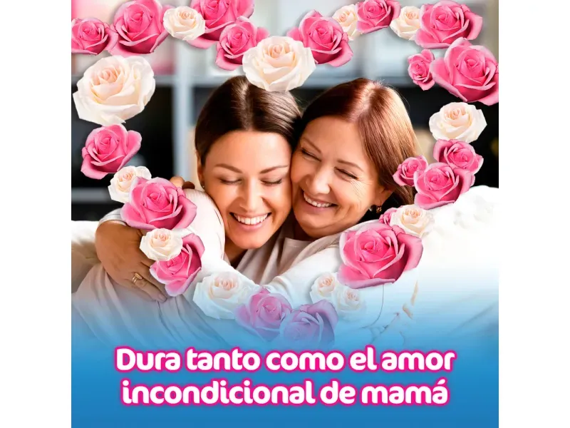 GTIN-0099176232704-07