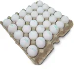 GTIN-7431002500497-01