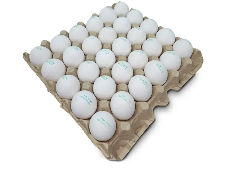 GTIN-7431002500497-01