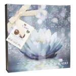 GTIN-8000017194770-02