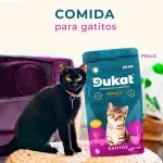 GTIN-7443007536562-08