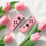 GTIN-0045496884727-05