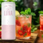 GTIN-0026964880557-04