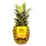 GTIN-0608312004923-02