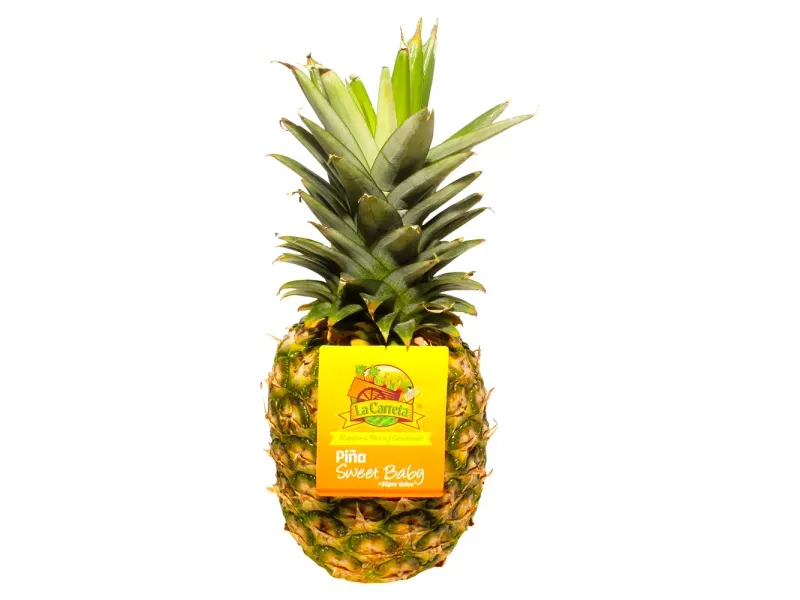 GTIN-0608312004923-02