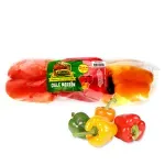 GTIN-0608312000192-01