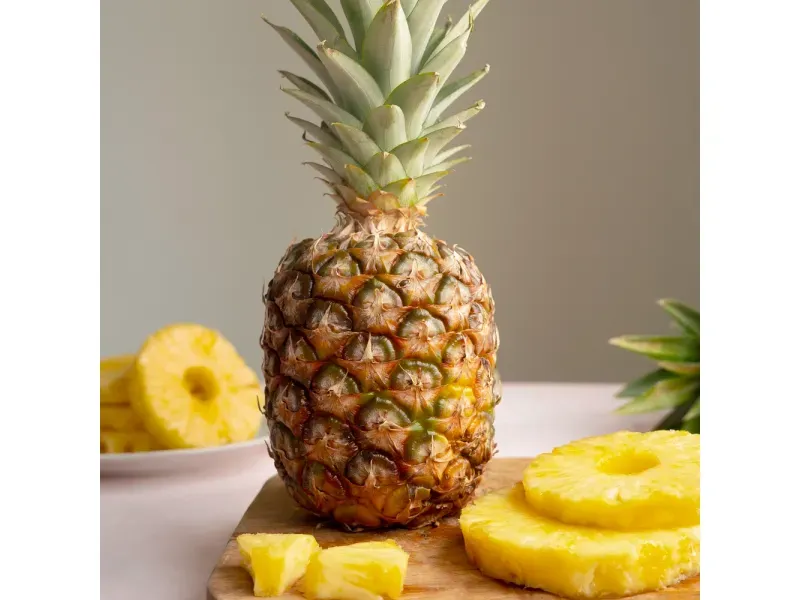 GTIN-0608312004923-04