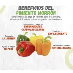 GTIN-0608312000192-04