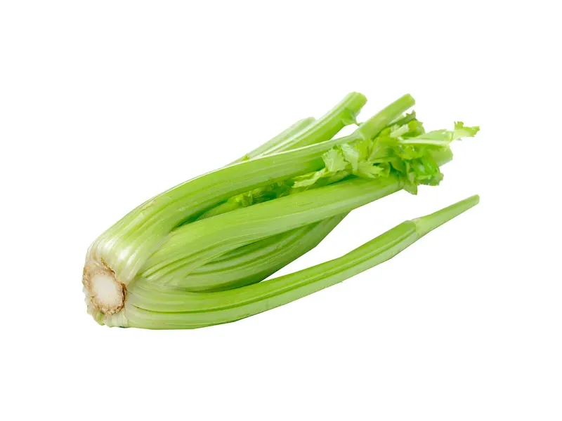 GTIN-0608312000208-01